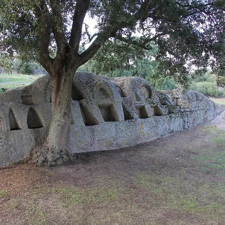 Casadina Iun Q2891 Oschiri